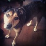 VvZ2aCIp5-ZzIZ6Gol3SgP3TH3--Dhh886dOze230Zo