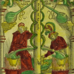 Catching-Up with Quinn #4