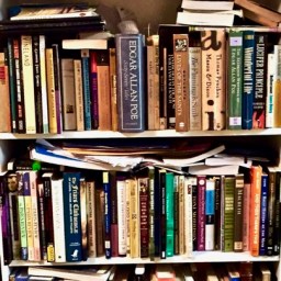 The Year in Reading 2016