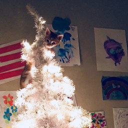 The Year in Writing 2017