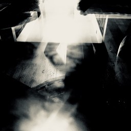 The Week That Was, or Jackasserie