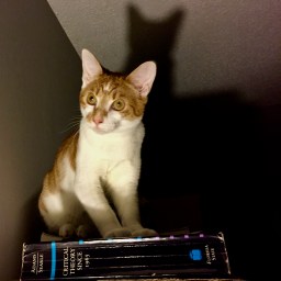 The Week That Was, or This Is He Who Smells