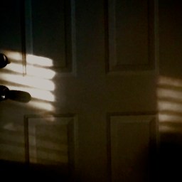 The Week That Was, or At the Movies! (At Home!)