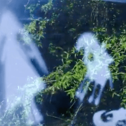 A Cinephile’s Sins of the Fathers or Let’s Put on a Show!