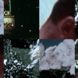 New Video: Kelly Coyle’s “Traveling, Sitting Quite Still”