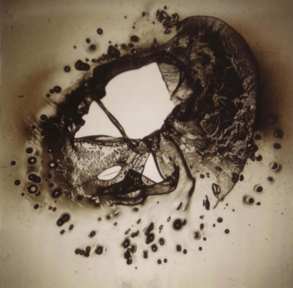 Cover of Untitled by Sandy Ewen, Weasel Walter, and Damon Smith.