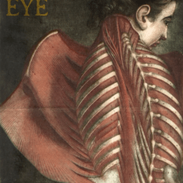 At Horror DNA: Stories of the Eye Review